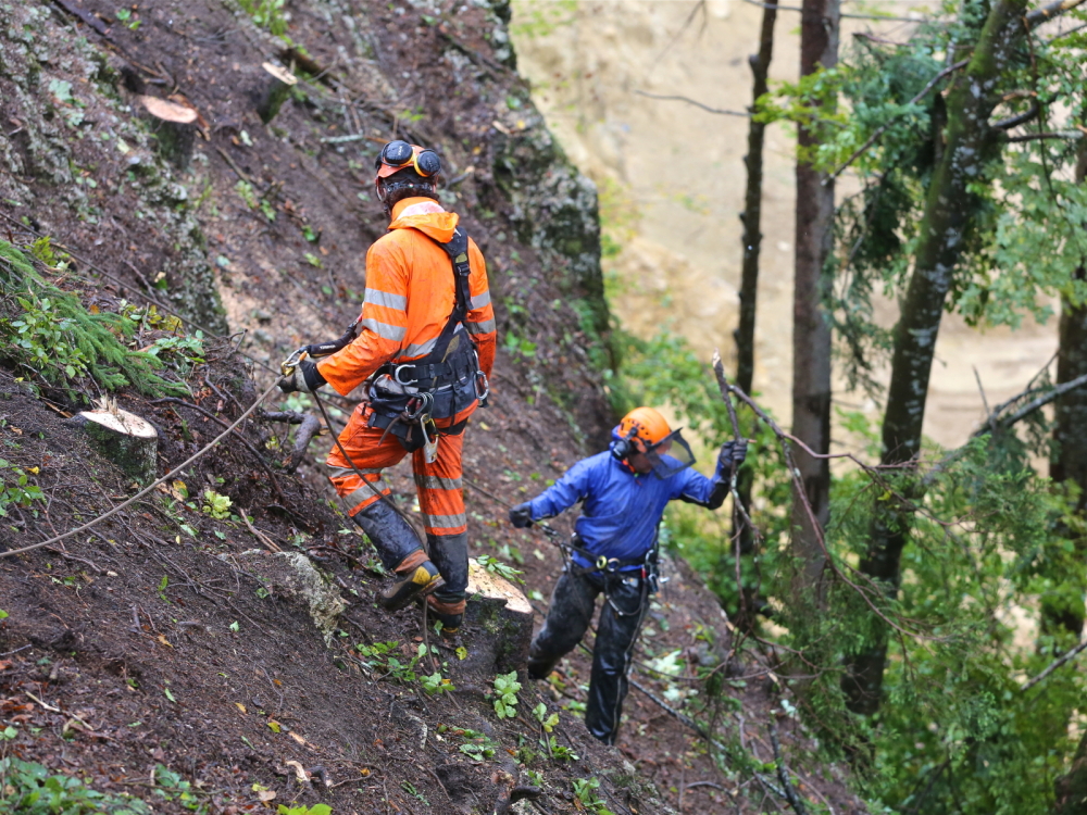 Défrichement autour de la Carrière des Granges