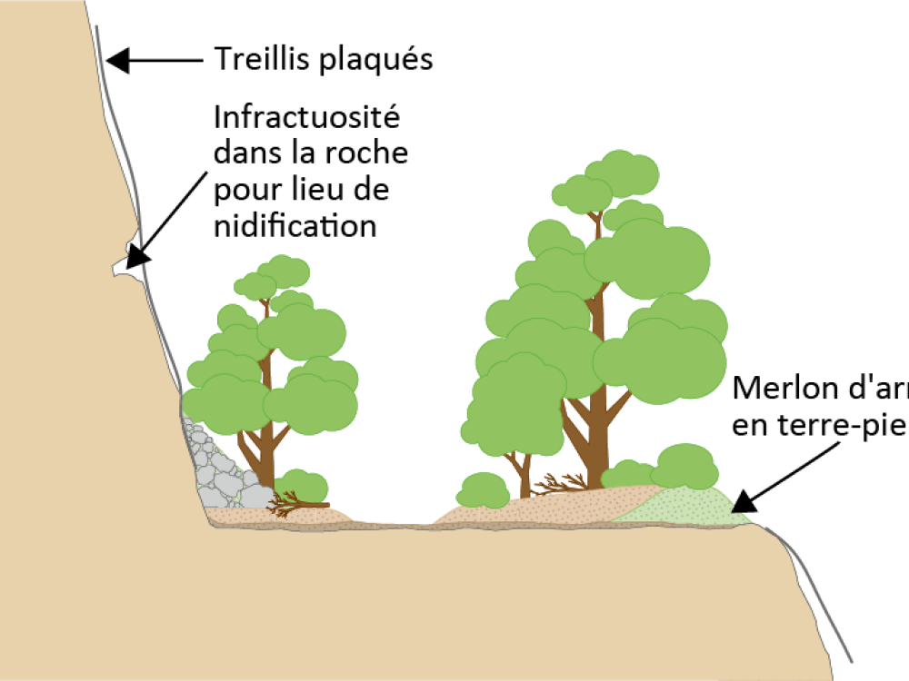 Renaturation de la carrière des Granges