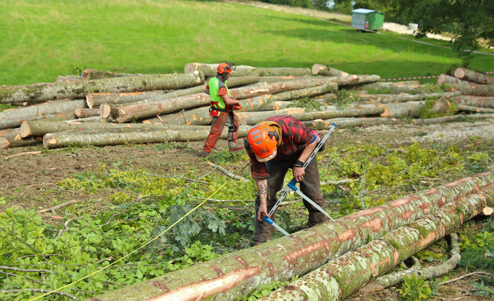 Défrichement arbres carrière